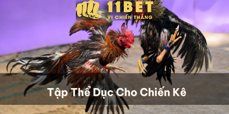 Xổ Số 11bet - Giải Mã Lô Đề Cùng Các Phương Pháp Soi Cầu Chuẩn