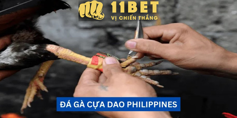 Những Kênh Liên Hệ Tại 11bet