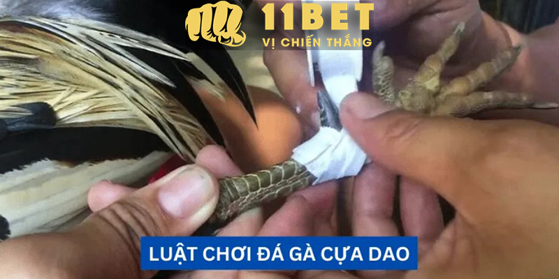 Chương trình khách hàng thân thiết